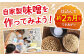 味噌 キット 手作り 自家製味噌 みそ 自由研究 合わせ味噌 あわせ味噌