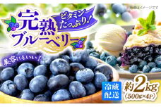 【6月中旬より順次発送】完熟 ブルーベリー 約2kg＜広津農園＞ [CBN009] 冷蔵 栽培期間中 農薬不使用 ブルーベリー 果物 果実 冷蔵 生ブルーベリー ブルーベリー 西海市産 ぶるーべりー