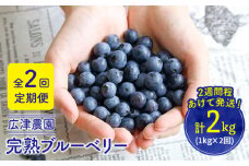 【全2回定期便】【栽培期間中農薬不使用】 完熟 ブルーベリー 1kg×2回定期便（計2kg）＜広津農園＞ [CBN010]