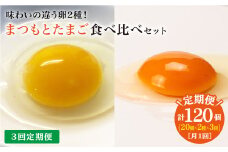 【月1回40個×3回 定期便 】 まつもとたまご ＆ 平飼いたまご 計120個＜松本養鶏場＞ [CCD022]