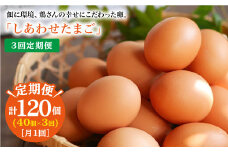 【月1回40個×3回 定期便 】 平飼い 「 しあわせ たまご 」計120個＜松本養鶏場＞ [CCD024]