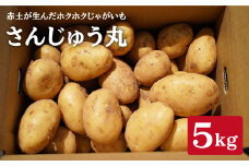 【赤土が生んだ西の恵】さんじゅう丸（じゃがいも）５kg＜ファームまるだ＞ [CDT001]