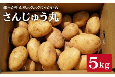 【赤土が生んだ西の恵】さんじゅう丸（じゃがいも）５kg＜ファームまるだ＞ [CDT001]