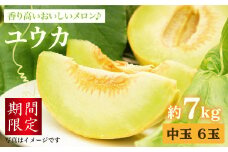 【☆先行予約☆】【香り高い】大島 メロン「ユウカ」中玉6玉（計7kg）＜大島造船所 農産グループ＞ [CCK018]