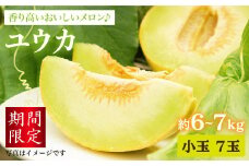 【☆先行予約☆】【香り高い】大島 メロン 「ユウカ」小玉7玉（計6～7kg）＜大島造船所 農産グループ＞ [CCK019]