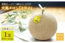 【先行予約☆1本の樹から1玉だけ】大島メロン「ミラノ」1玉（1.6～2.4kg）【化粧箱入】＜大島造船所 農産グループ＞ [CCK020]