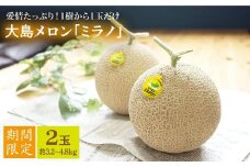 【先行予約☆1本の樹から1玉だけ】大島メロン「ミラノ」2玉（計3.2～4.8kg）＜大島造船所 農産グループ＞ [CCK021]