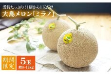 【先行予約☆1本の樹から1玉だけ】大島メロン「ミラノ」5玉（計8～12kg）＜大島造船所 農産グループ＞ [CCK022]