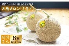 【先行予約☆1本の樹から1玉だけ】大島メロン「ミラノ」6玉（計7.2～8kg）＜大島造船所 農産グループ＞ [CCK023]