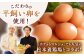 プリン 12本入り