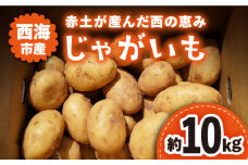 【5月下旬より発送】 じゃがいも 西海市産 約 10kg ＜ファームまるだ＞ [CDT002] ジャガイモ じゃがいも 芋 西海市産 じゃがいも 野菜