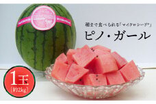 【16年にもおよぶ西瓜革命】ピノ・ガール（スイカ）1玉（約2kg）＜ファームまるだ＞ [CDT003]