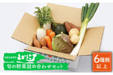 野菜 詰め合わせ （6種以上） 西海 野菜 詰め合わせ 旬 新鮮 採れたて ＜西海町特産品直売所 よかところ＞ [CBO002]