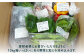 野菜 詰め合わせ 6種類