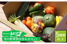 野菜 詰め合わせ（5種以上） 西海 野菜 詰め合わせ 旬 新鮮 採れたて ＜西海町特産品直売所 よかところ＞ [CBO003]