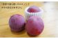 スモモ 貴陽 約2kg（13〜15玉）【先行予約】 西海市産 貴陽 プラム すもも 桃 果物 フルーツ 贈答 ギフト 贈り物 