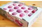 スモモ 貴陽 約2kg（13〜15玉）【先行予約】 西海市産 貴陽 プラム すもも 桃 果物 フルーツ 贈答 ギフト 贈り物 