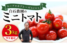 【10月より配送開始】ミニ トマト 訳あり 約3kg まぼろしチョイス掲載のお品！ ＜白石農園＞ [CBI003] 西海市産 トマト とまと 野菜 新鮮 旬 トマト 訳あり 不揃い 規格外 トマト
