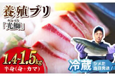 ブリ ぶり 日時指定 光鰤 半身 下処理済み 約1.4～1.5kg＜小山水産＞ [CDZ001] 西海市産 魚 ブロック 刺身 ブリ 刺身 ぶり ブリしゃぶ 鰤 ブリ 日時指定 下処理済み 高評価 人気 高レビュー