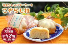 【月1回8個×6回定期便】こやらし柑 計48個＜お菓子のいわした＞ [CAM021]