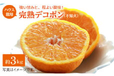 みかん デコポン 【4月上旬より順次発送】糖度13～15度！完熟 不知火 約 3kg ＜原口果樹園＞ [CCW005] ハウス木成 西海市 デコポン 不知火 みかん 柑橘 完熟 甘い でこぽん みかん 不知火 完熟デコポン 贈答 ギフト
