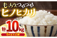 【令和6年産☆ 新米をお届け 】 ヒノヒカリ 約 10kg（約5kg×2袋） 長崎西海 白米 米 ひのひかり 米 10kg 5kg ＜白石農園＞ [CBI005]