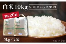 【先行予約☆数量限定】 令和6年産 新米 白米 （ なつほのか or ヒノヒカリ ） 10kg （5kg×2袋） 白米 米 ひのひかり なつほのか 10kg ＜夢農園 モリピー＞ [CEJ002]