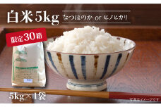 【先行予約☆数量限定】令和6年産新米！ 白米 （ なつほのか or ヒノヒカリ ） 5kg  白米 米 新米 5kg ひのひかり ＜夢農園 モリピー＞ [CEJ001]