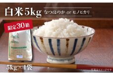 【先行予約☆数量限定】【令和7年産 新米】 白米 （ なつほのか or ヒノヒカリ ） 5kg  ＜夢農園 モリピー＞ [CEJ001] 白米 米 ひのひかり なつほのか  こめ ごはん ご飯