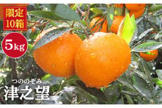 【先行予約☆限定10箱】 津之望 （つののぞみ）約 5kg 長崎 西海 みかん ミカン 柑橘 贈答 ギフト 限定 ＜原口果樹園＞ [CCW009]