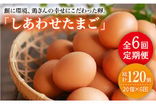 【月1回20個×6回 定期便 】 平飼い 「 しあわせ たまご 」計120個＜松本養鶏場＞ [CCD028]