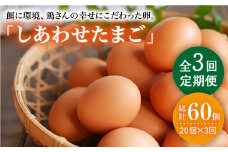 【月1回20個×3回 定期便 】 平飼い 「 しあわせ たまご 」計60個＜松本養鶏場＞ [CCD027]