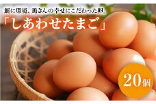 【大切な人への贈り物に】平飼い「しあわせたまご」20個＜松本養鶏場＞ [CCD026]