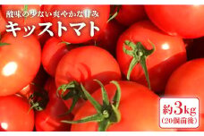 【2月より順次発送】糖度7度の果実！ キッス トマト （ばら詰め）約3kg＜大島造船所 農産グループ＞ [CCK026] 長崎 西海 トマト とまと 大島トマト 高糖度 贈答