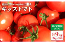【2月より配送開始】【3kg×3回定期便 】糖度7度の果実！ キッス トマト （ばら詰め）計9kg＜大島造船所 農産グループ＞ [CCK027] 長崎 西海 トマト とまと 大島トマト 高糖度 贈答