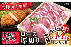 【6回定期便】 長崎 うずしおポーク ロース（とんかつ用）1.4kg 訳あり＜スーパーウエスト＞ [CAG105]長崎うずしおポーク ロース とんかつ 訳あり ブランド豚 豚肉 国産 冷凍 定期便