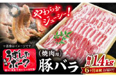 【6回 定期便 】 焼肉用 長崎うずしおポーク 豚バラ（ 焼肉 用）1.4kg 訳あり ＜スーパーウエスト＞ [CAG114]長崎うずしおポーク バラ 焼肉 豚バラ 焼き肉 ブランド豚 長崎県産 西海市 うずしおポーク 焼肉用