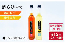 【6回定期便】酢らり 大瓶（いちご・ゆうこう）総計12本＜川添酢造＞ [CDN036]