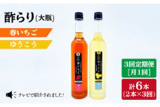 【3回定期便】酢らり 大瓶（いちご・ゆうこう）総計6本＜川添酢造＞ [CDN035]