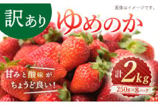 【 訳あり 】 ゆめのか 苺 約2kg （250g×8パック）＜川原農園＞ [CDR005] いちご イチゴ 訳あり 不揃い