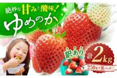 【先行予約】【 訳あり 】 ゆめのか 苺 計2kg （250g×8パック）＜川原農園＞ [CDR005] いちご イチゴ 訳あり 不揃い