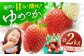 いちご 訳あり 2kg ゆめのか