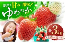 いちご 【先行予約】【 訳あり 】 ゆめのか いちご 計3kg（250g×12パック） ＜川原農園＞ [CDR006]  長崎 西海 イチゴ いちご 苺 ゆめのか いちご 訳あり 家庭用  