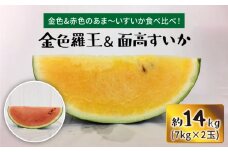 【先行予約☆金色vs赤色すいか食べ比べ】金色羅王＆面高すいか（7kg×2玉）＜太田幸男＞ [CCN011]