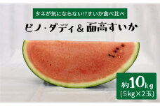 【スイカ食べ比べ】ピノ・ダディ＆面高すいか（5kg×2玉）＜太田幸男＞ [CCN012]