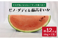 【スイカ食べ比べ】ピノ・ダディ＆面高すいか（6kg×2玉）＜太田幸男＞ [CCN013]