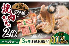 【3回 定期便 】 焼肉 豚 大西海 SPF豚 背ロース ＆ バラ （ 焼肉 用）計1.2kg（各600g）  訳あり ＜大西海ファーム＞ [CEK044] 焼肉 焼肉 肉 食品 肉類 国産 豚肉 食べ比べ こだわり セット 甘み 旨み 豚バラ バラ肉 豚ロース 贈答 ギフト SPF豚