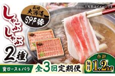 【3回定期便】大西海 SPF豚 しゃぶしゃぶ 計1.2kg （背ロース/バラ 各600g） 訳あり ＜大西海ファーム＞ [CEK046] 西海 豚肉 国産 ブランド 豚 スライス しゃぶしゃぶ バラ ロース 鍋 SPF豚 贈答 ギフト 定期便