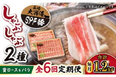 【6回定期便】大西海 SPF豚 しゃぶしゃぶ 計1.2kg （背ロース/バラ 各600g） 訳あり ＜大西海ファーム＞ [CEK047] 西海 豚肉 国産 ブランド 豚 スライス しゃぶしゃぶ バラ ロース 鍋 SPF豚 贈答 ギフト 定期便