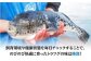 トラフグ ふぐ 鍋